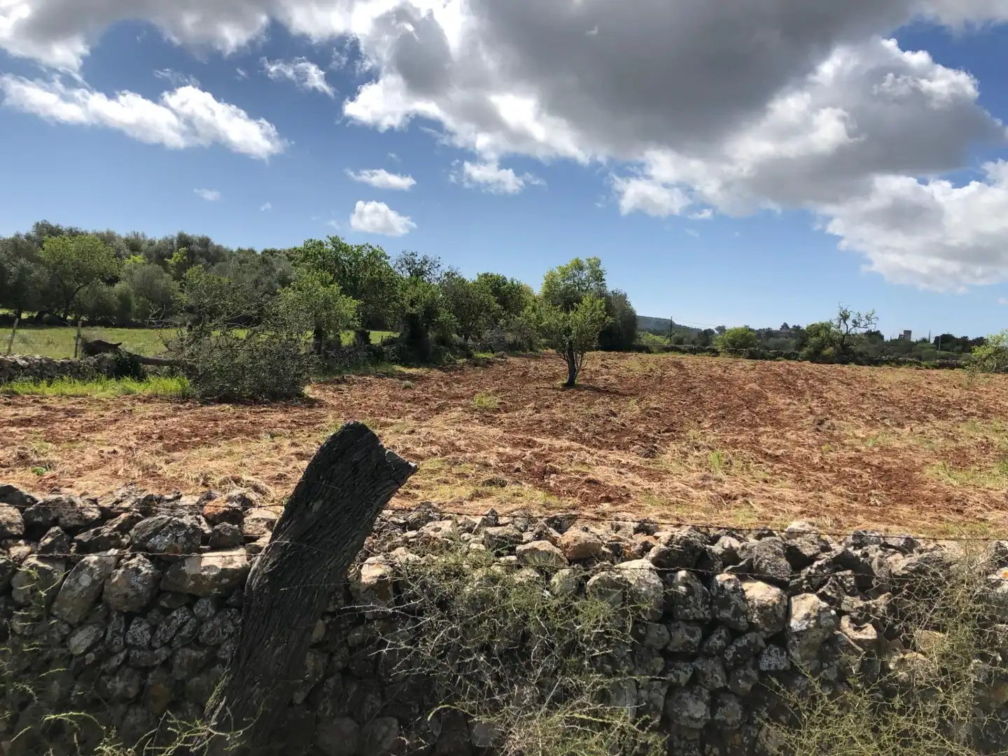 Lands and plots for sale in S'Horta - Cas Concos des Cavaller - Es Carritxó, imagen 12