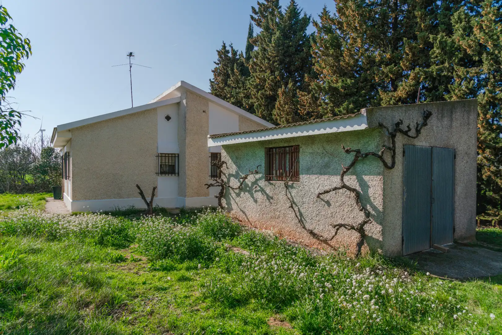Vista exterior de Finca rústica en venda en Pedrola amb Jardí privat, Terrassa i Moblat