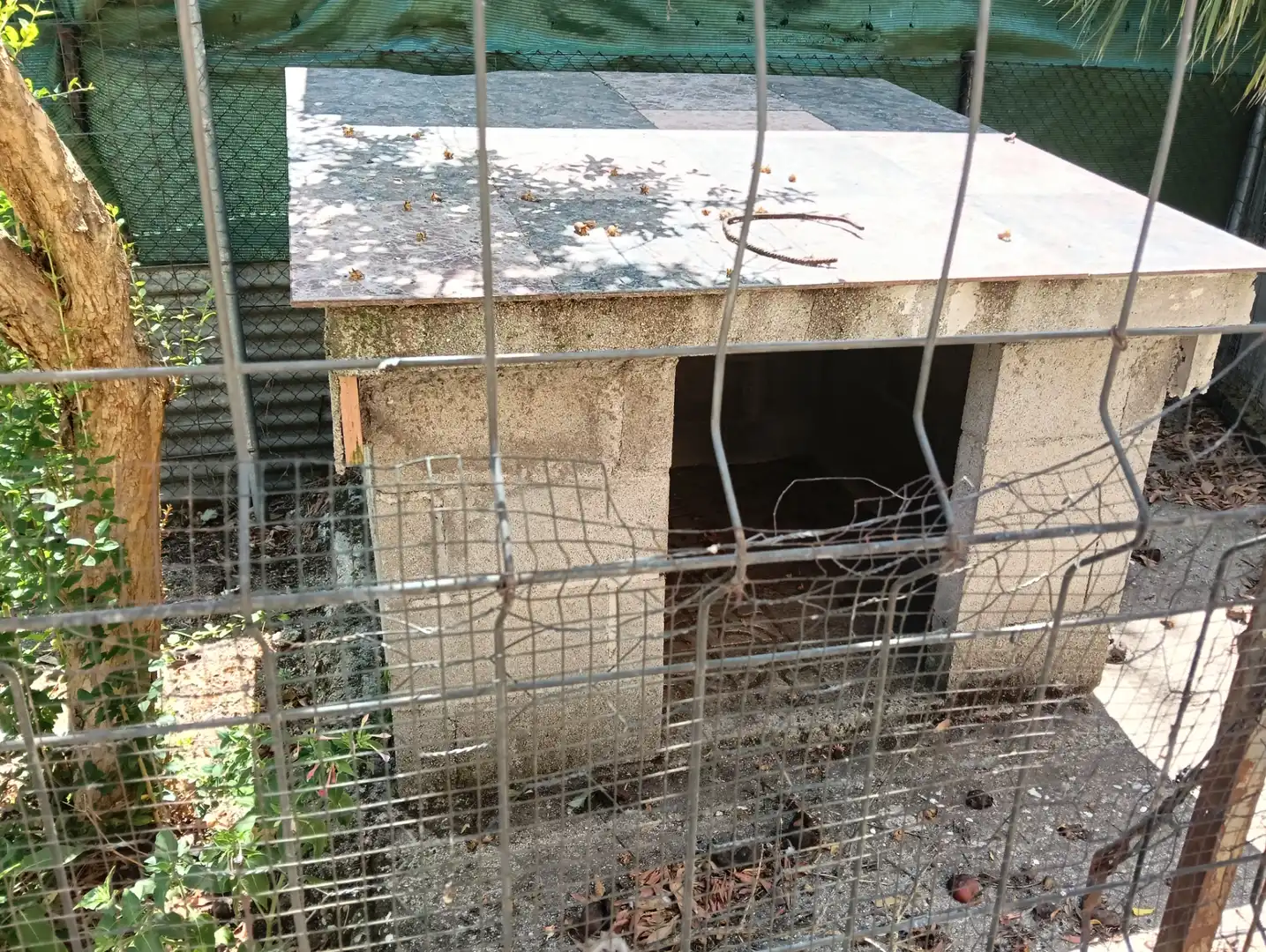 Jardí de Casa o xalet en venda en Casarrubios del Monte amb Aire condicionat, Calefacció i Jardí privat