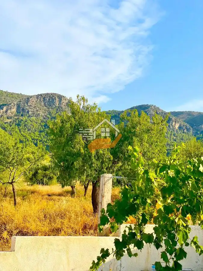 Residential land for sale in Vélez-Rubio, imagen 11