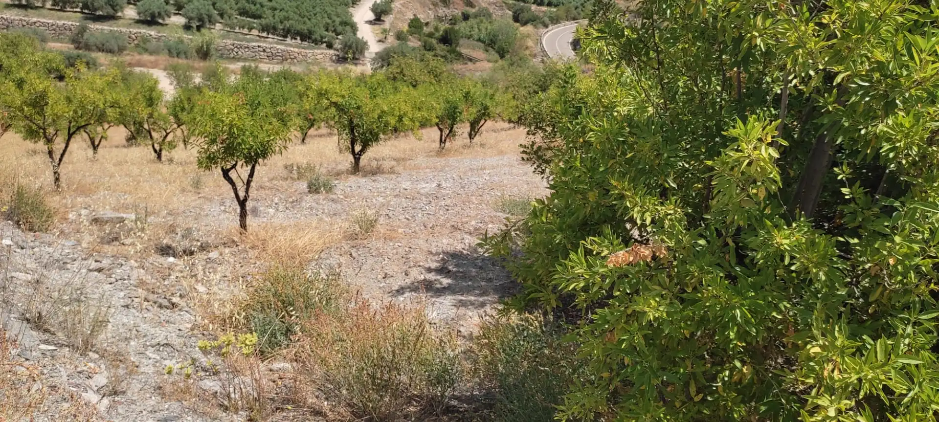 Country house with balcony for sale in Calle Lubrín 1, imagen 14