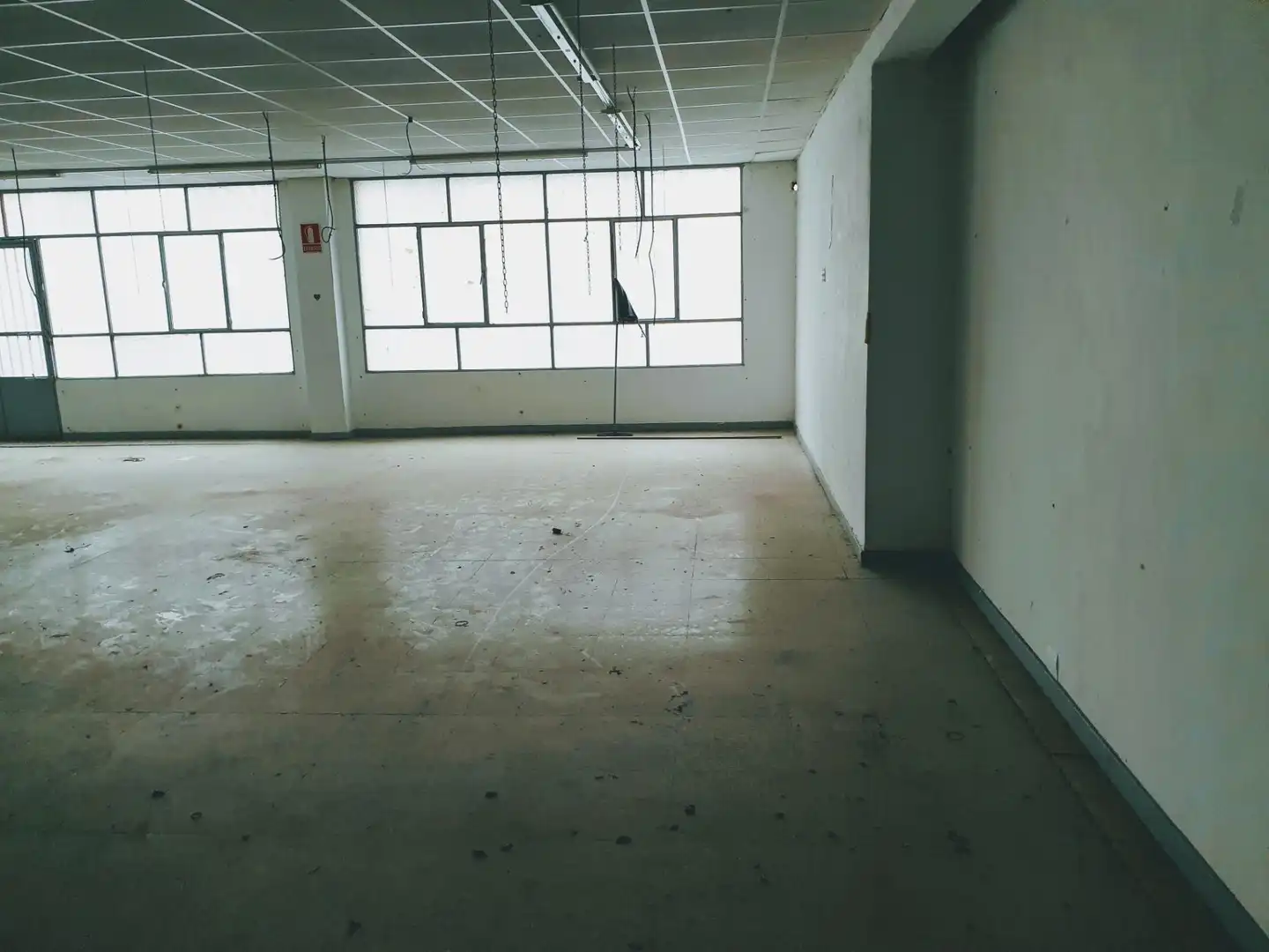 Nave industrielle à vendre à Fraternidad, imagen 24