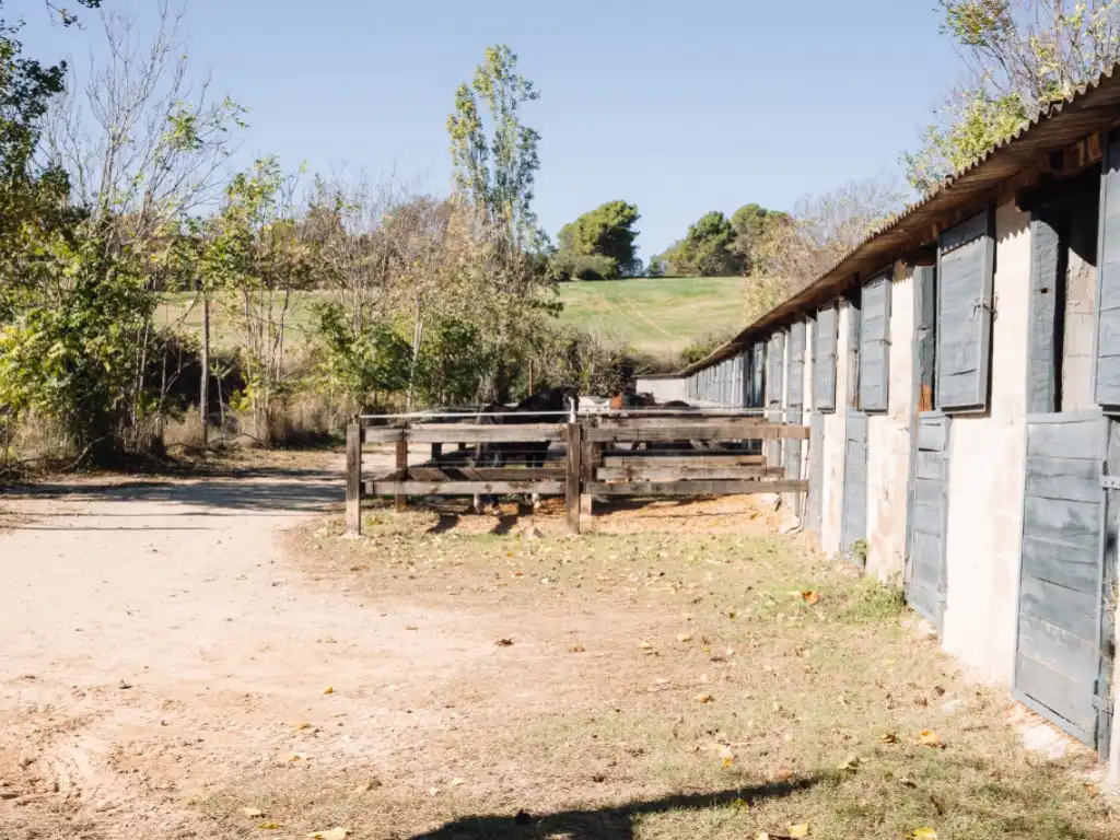 Exterior view of Country homes for sale in Rubí