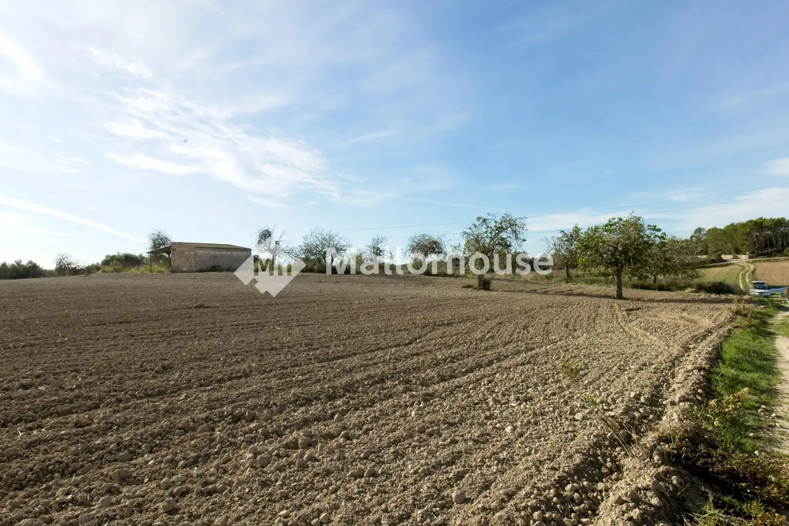 Grundstücke und Bauplätze zum Verkauf in Camino del Camp des Pi, imagen 3