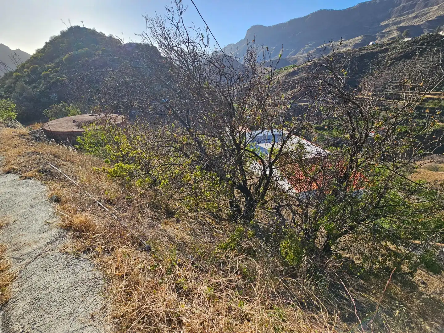 Finca rústica en venta en Tejeda