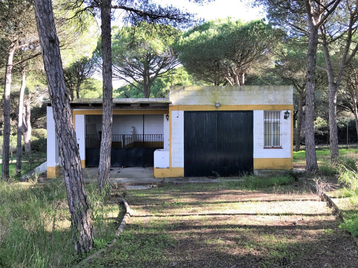 Jardí de Finca rústica en venda en Chiclana de la Frontera amb Traster