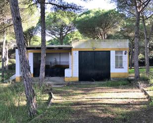 Garden of Country house for sale in Chiclana de la Frontera