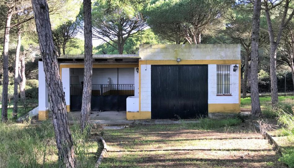 Foto 1 de Finca rústica en venda a Las Lagunas - Campano, Cádiz