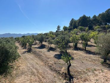 Terrain rustique à vendre à Carrer dels Jocs Olímpics 1