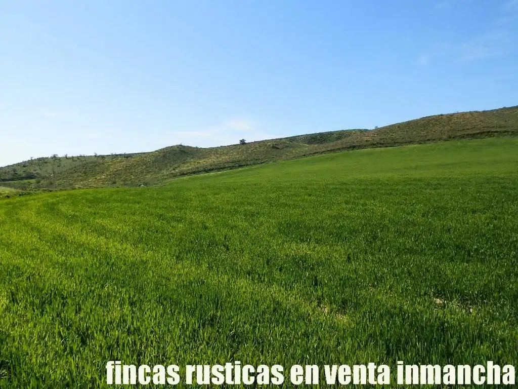 Terreno rustico in vendita a Casco Histórico, imagen 6