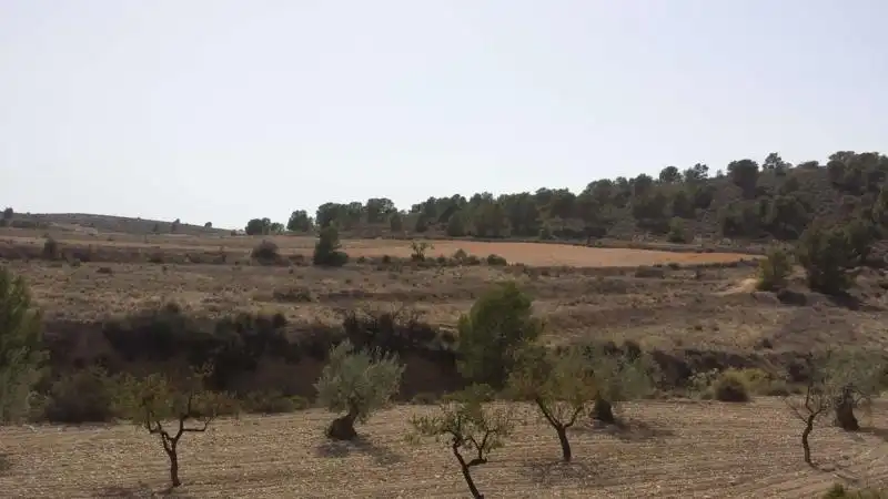 Villa avec jardin à vendre à Fortuna, imagen 55