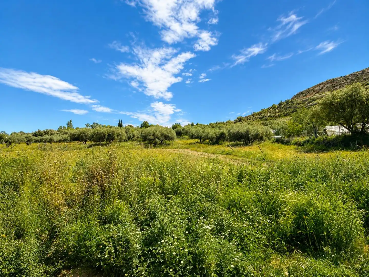 Finca rústica en venta en Monachil pueblo