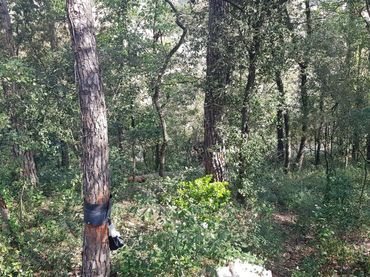 Terreno residencial en venta en Riells i Viabrea
