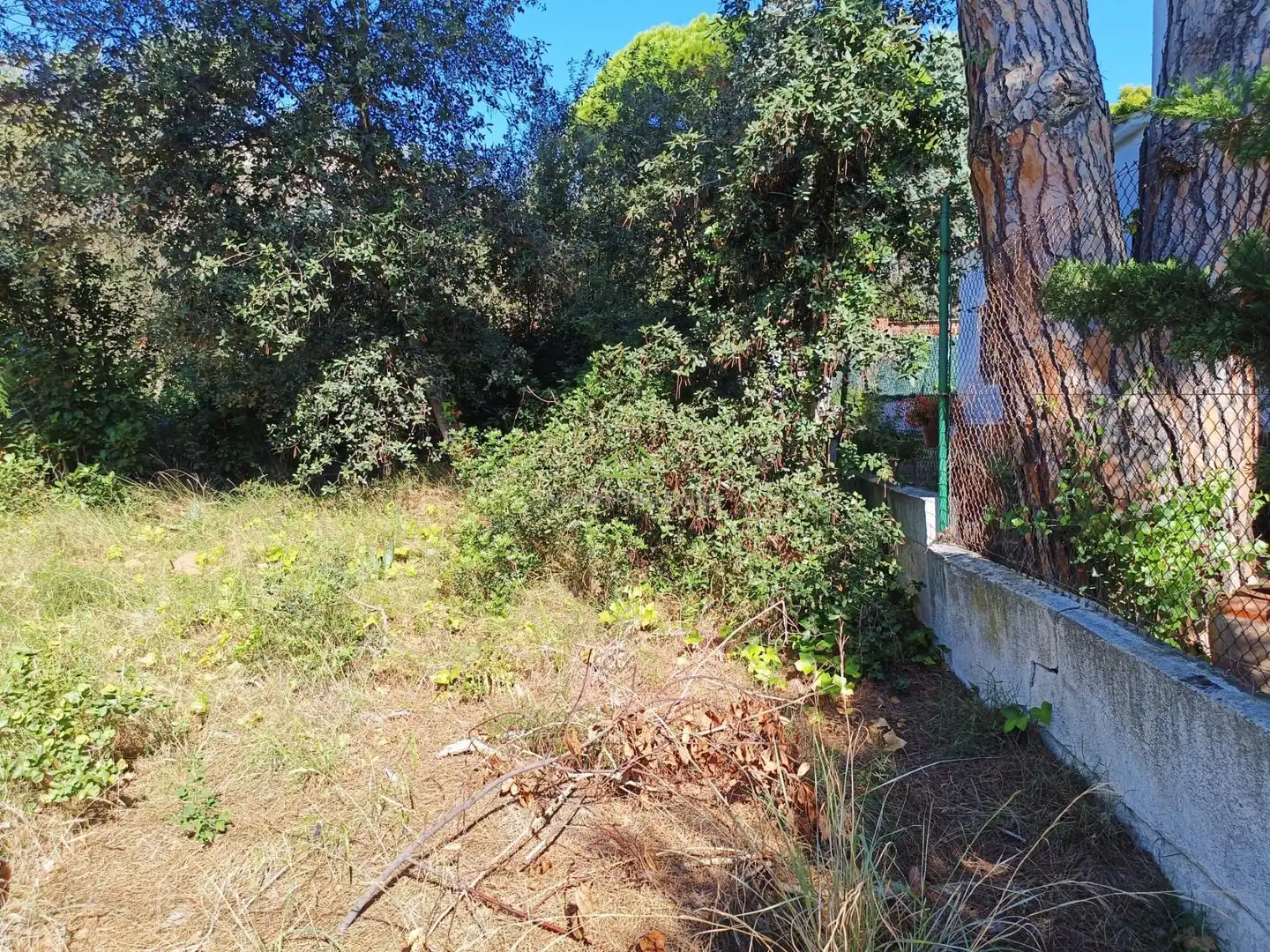 Terrenys i solars en venda a Platja d'Aro, imagen 2