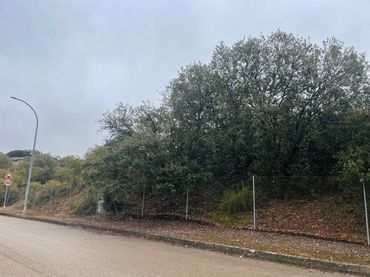 Terreno residencial en venta en Calle de las Encinas