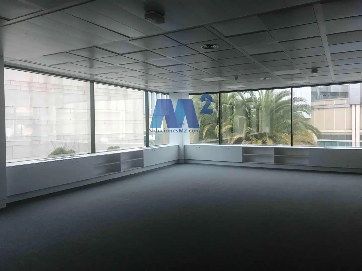 Office space to rent in Europa, imagen 22