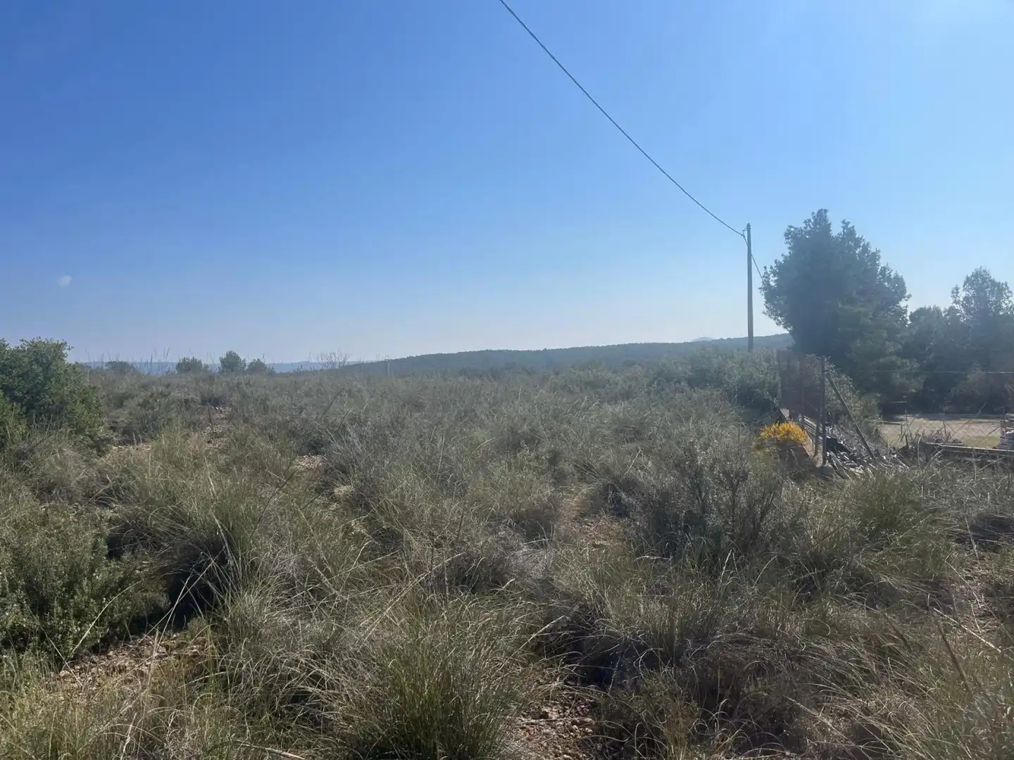 Terreni e lotti in vendita a Almansa, imagen 4