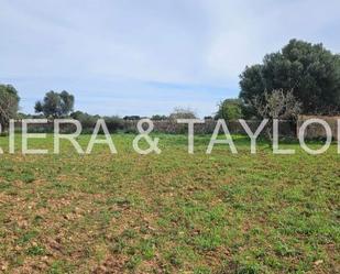 Finca rústica en venda en Manacor
