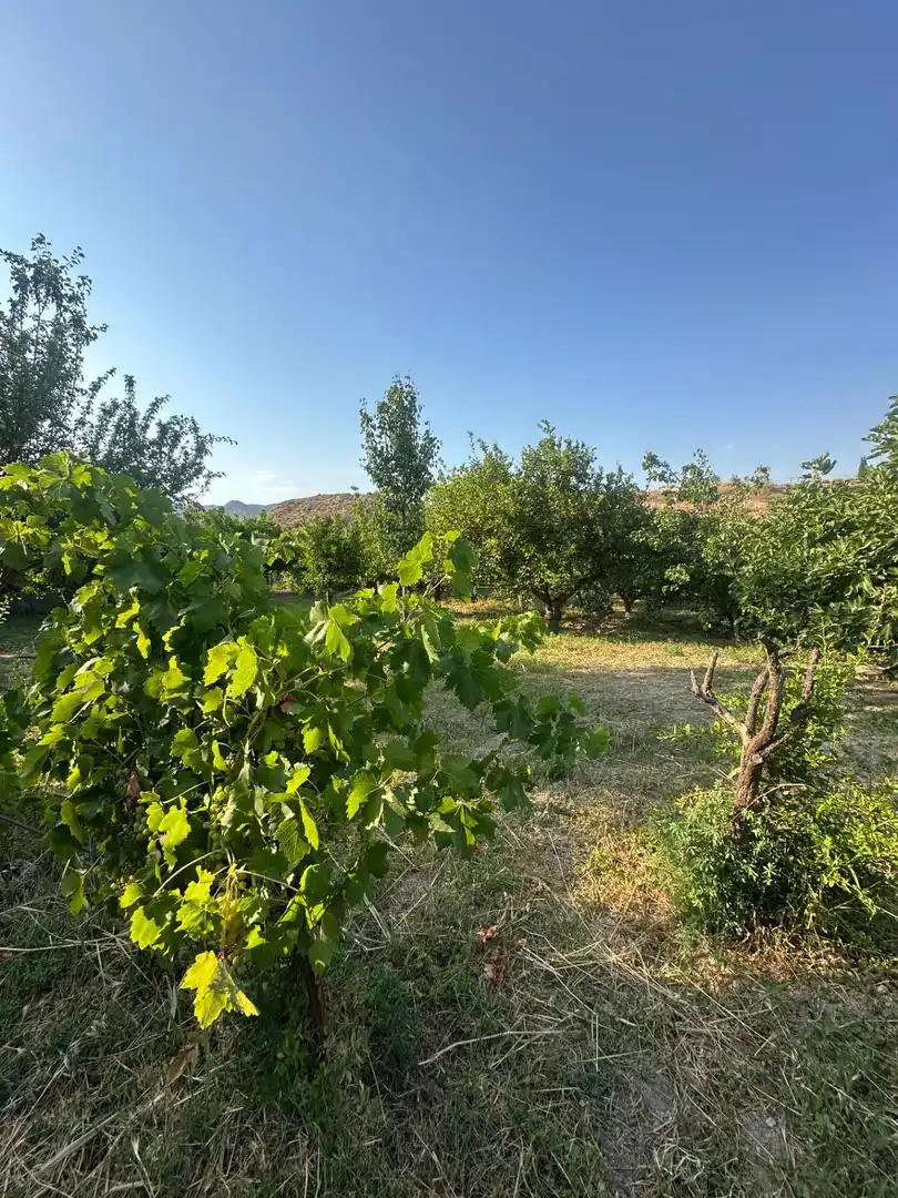 Finca rústica en venta en Olula del Río