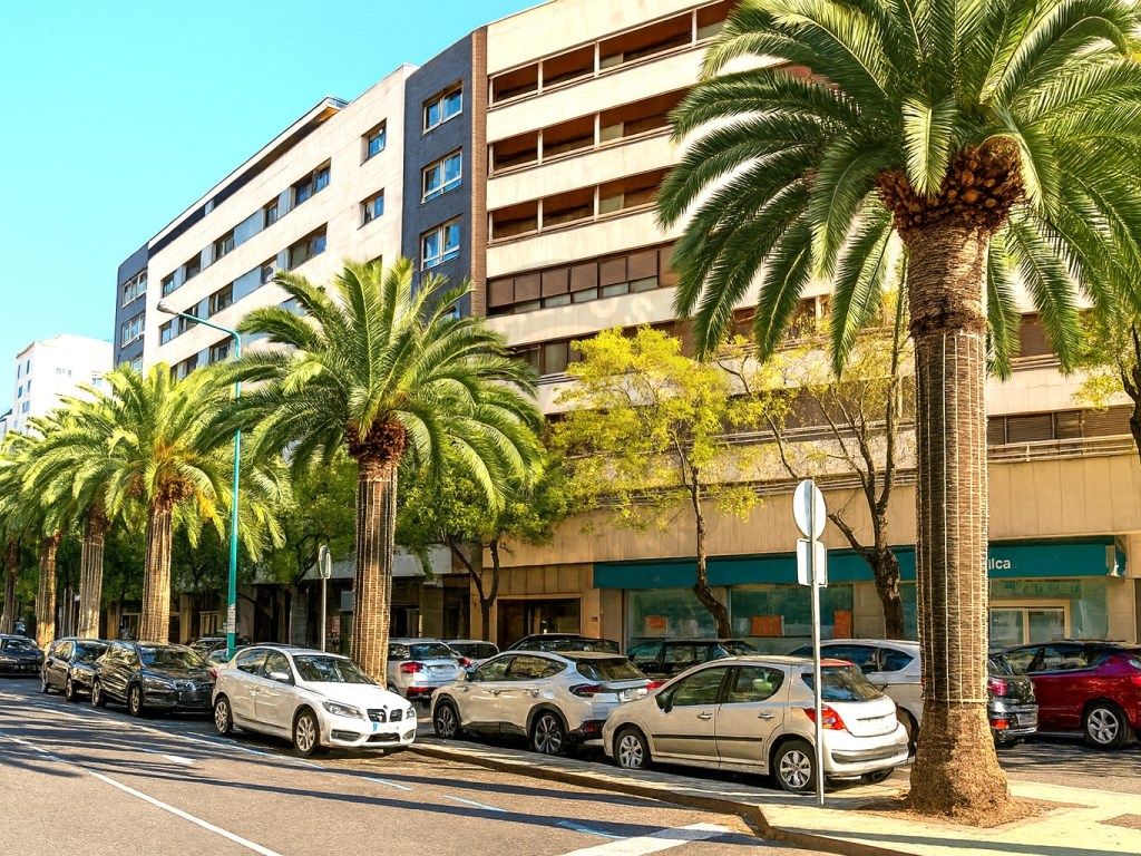 Flat to rent in Avenida Virgen De Guadalupe, Centro