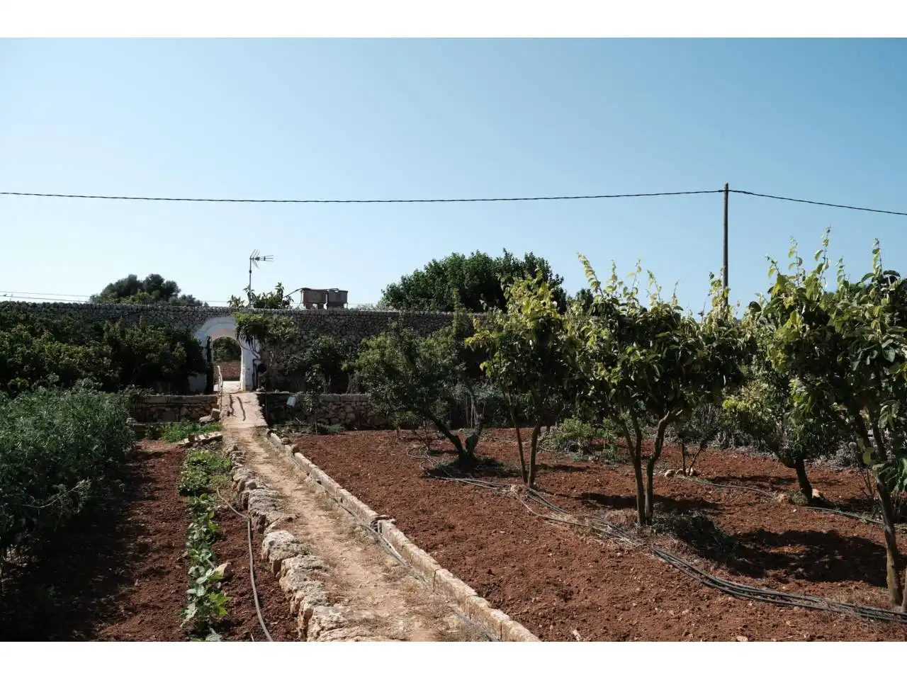 Jardín de Finca rústica en venta en Ciutadella de Menorca con Jardín privado y Piscina