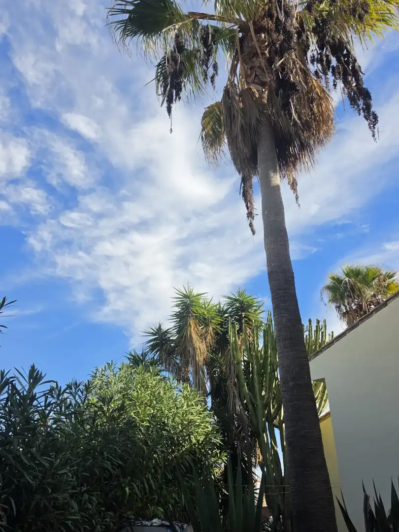 Vista exterior de Casa o chalet en venta en Casares