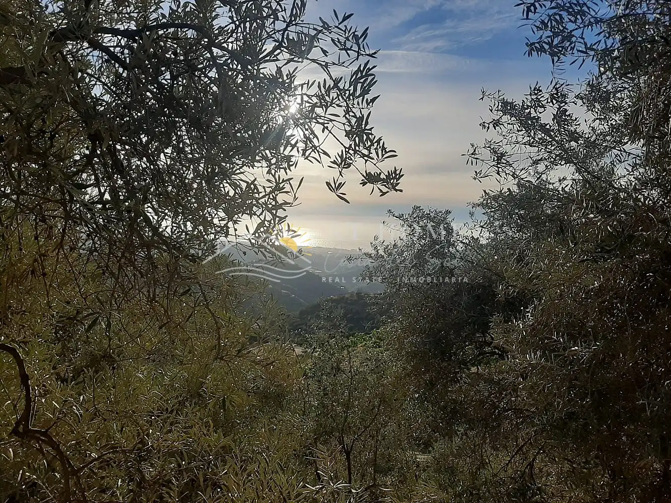 Terreni e lotti in vendita a Torrox Pueblo, imagen 18