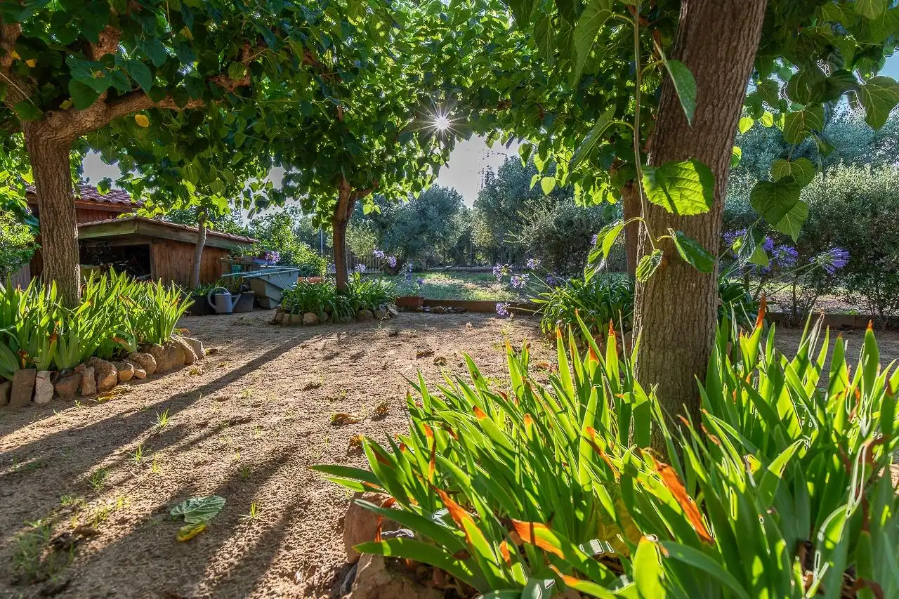 Maison rustique à vendre à Riudoms, imagen 19