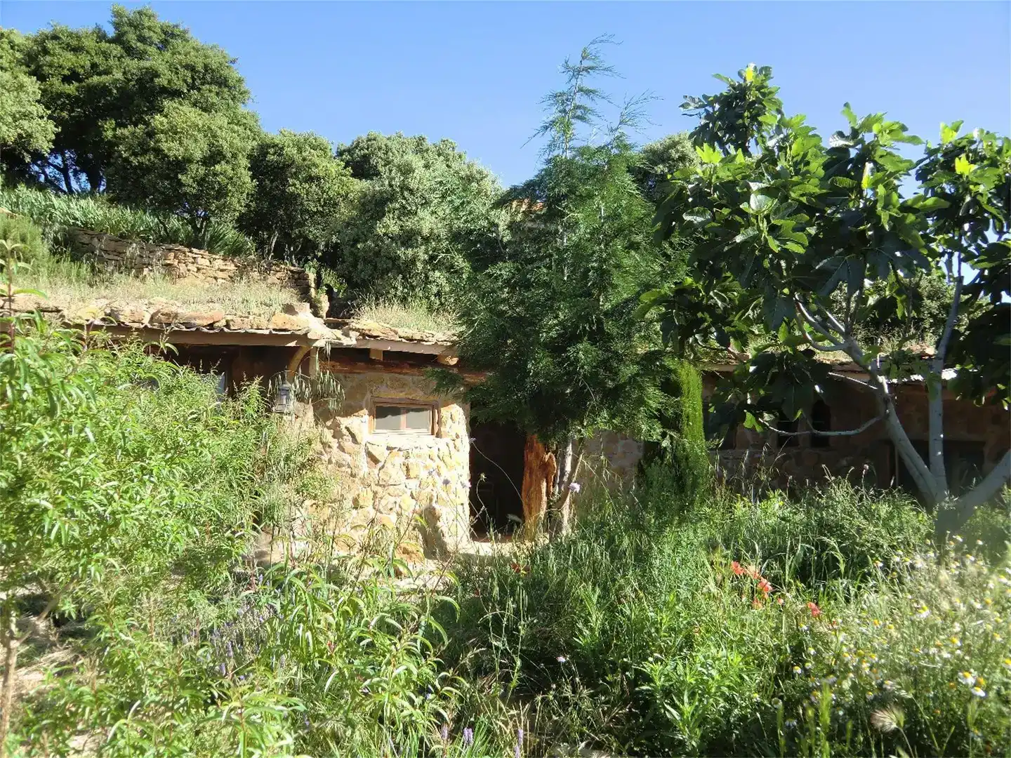 Garten von Country house zur Miete in Sierra Engarcerán mit Privatgarten