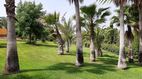 Photo 4 of Country house for sale in Montoro, Córdoba