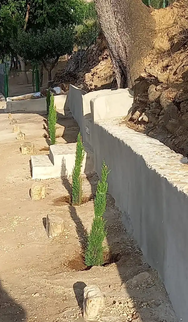 Casa rustica con piscina in vendita a Partidas Norte, imagen 27