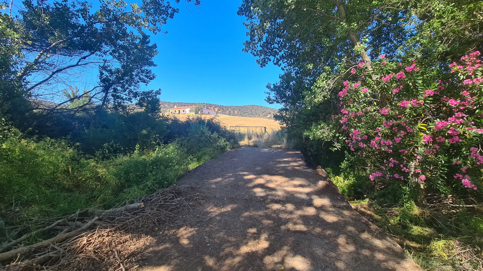 Terreno en venta en Malcocinado