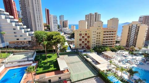 Foto 2 de Apartament de lloguer a Rincón Alto, Benidorm
