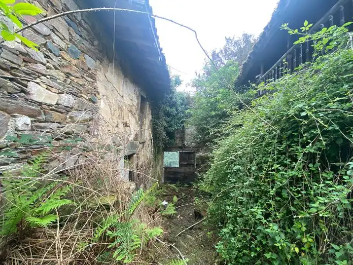 Finca rústica en venta en Salas