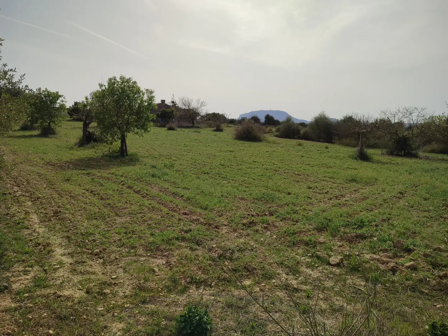 Finca rústica en venda en Montuïri amb Jardí privat i Terrassa
