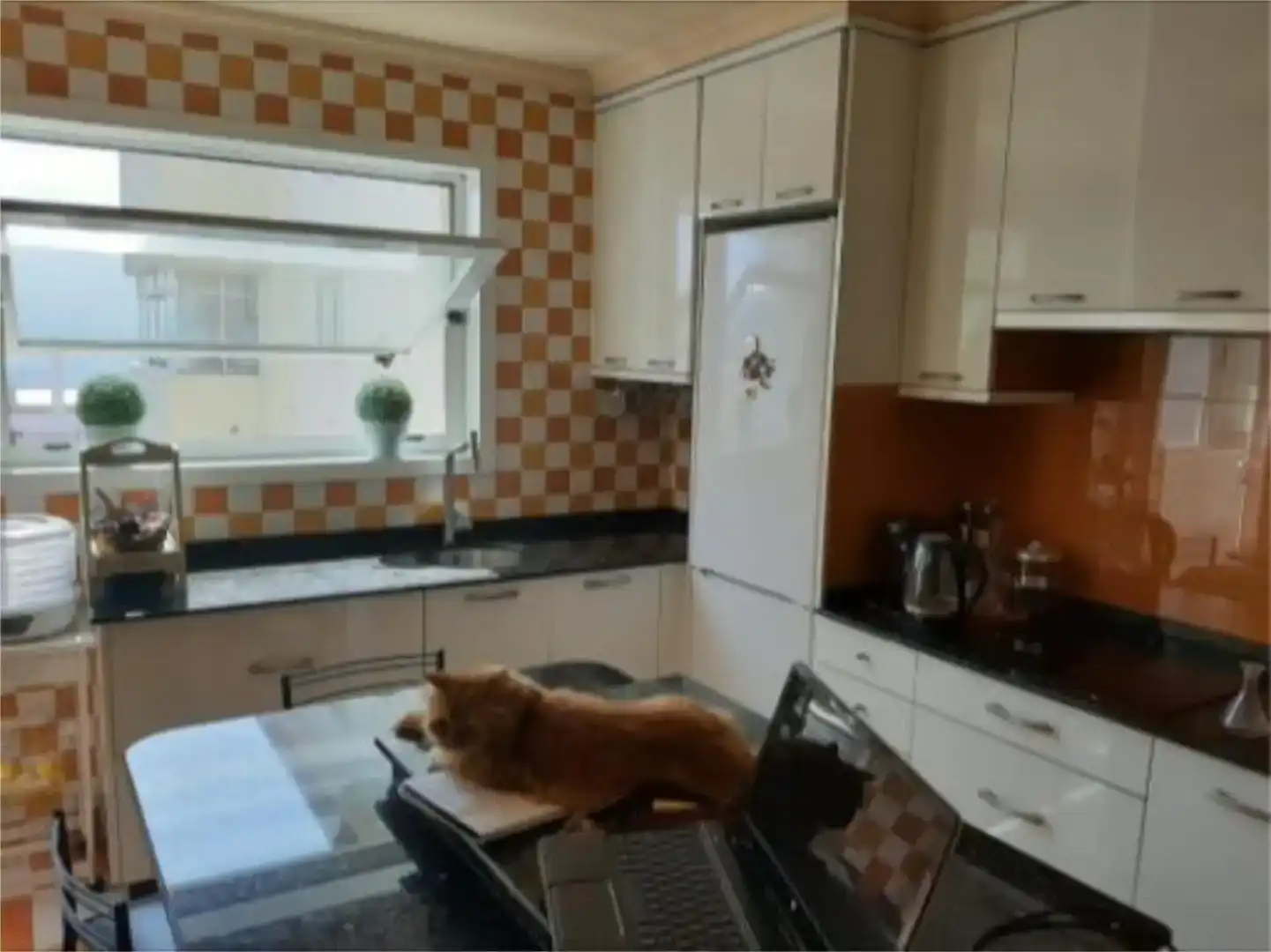 Cocina de Piso para compartir en Vigo  con Parquet, Amueblado y Balcón