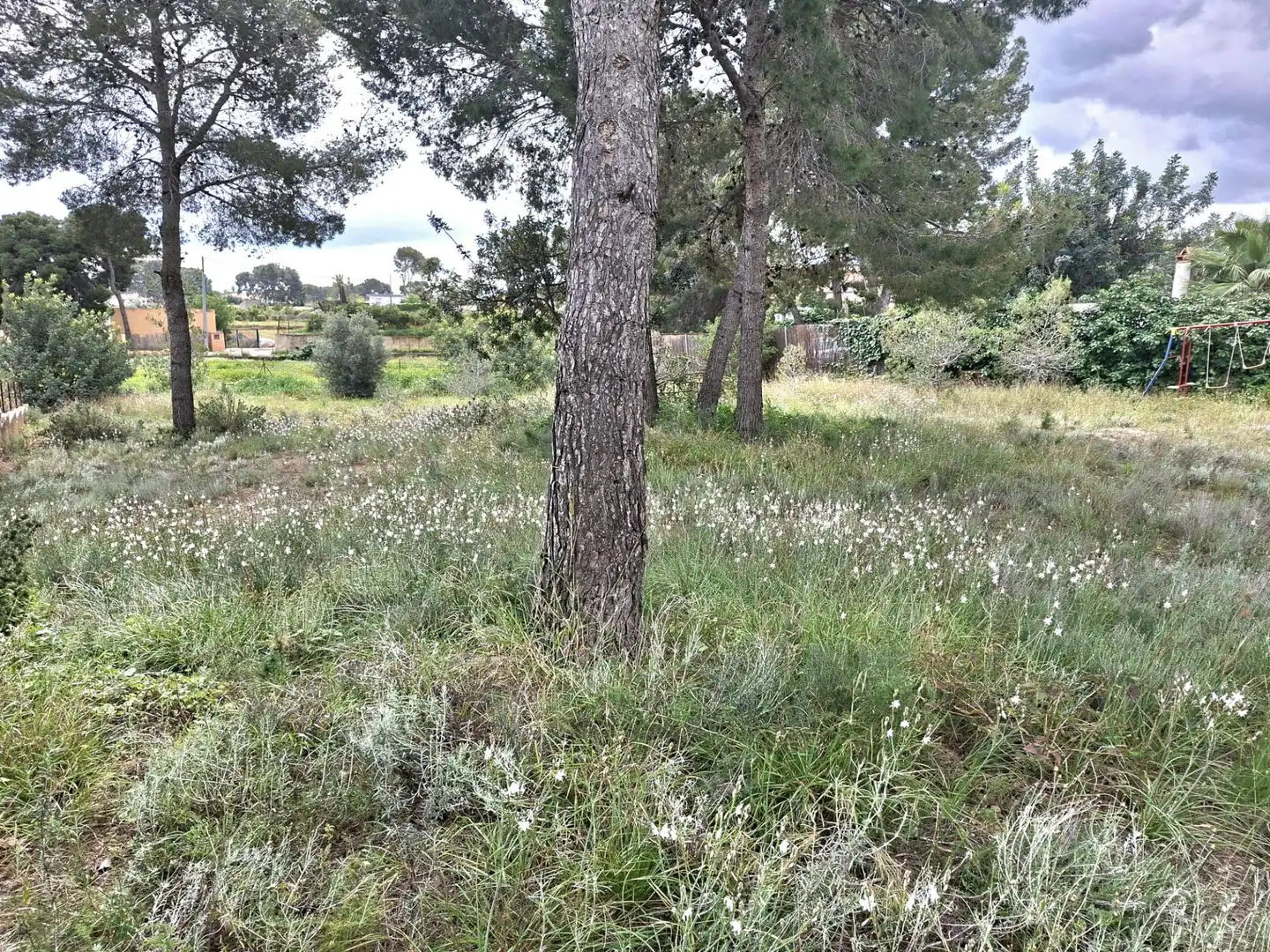 Terrain rustique à vendre à Camí de Paterna - Lloma del Calderer, imagen 8
