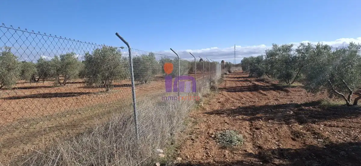 Casa rústica en venda a Valdepeñas, imagen 23