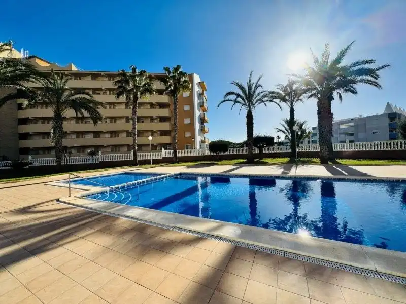 Piscina de Àtic en venda en Guardamar del Segura amb Aire condicionat, Calefacció i Terrassa