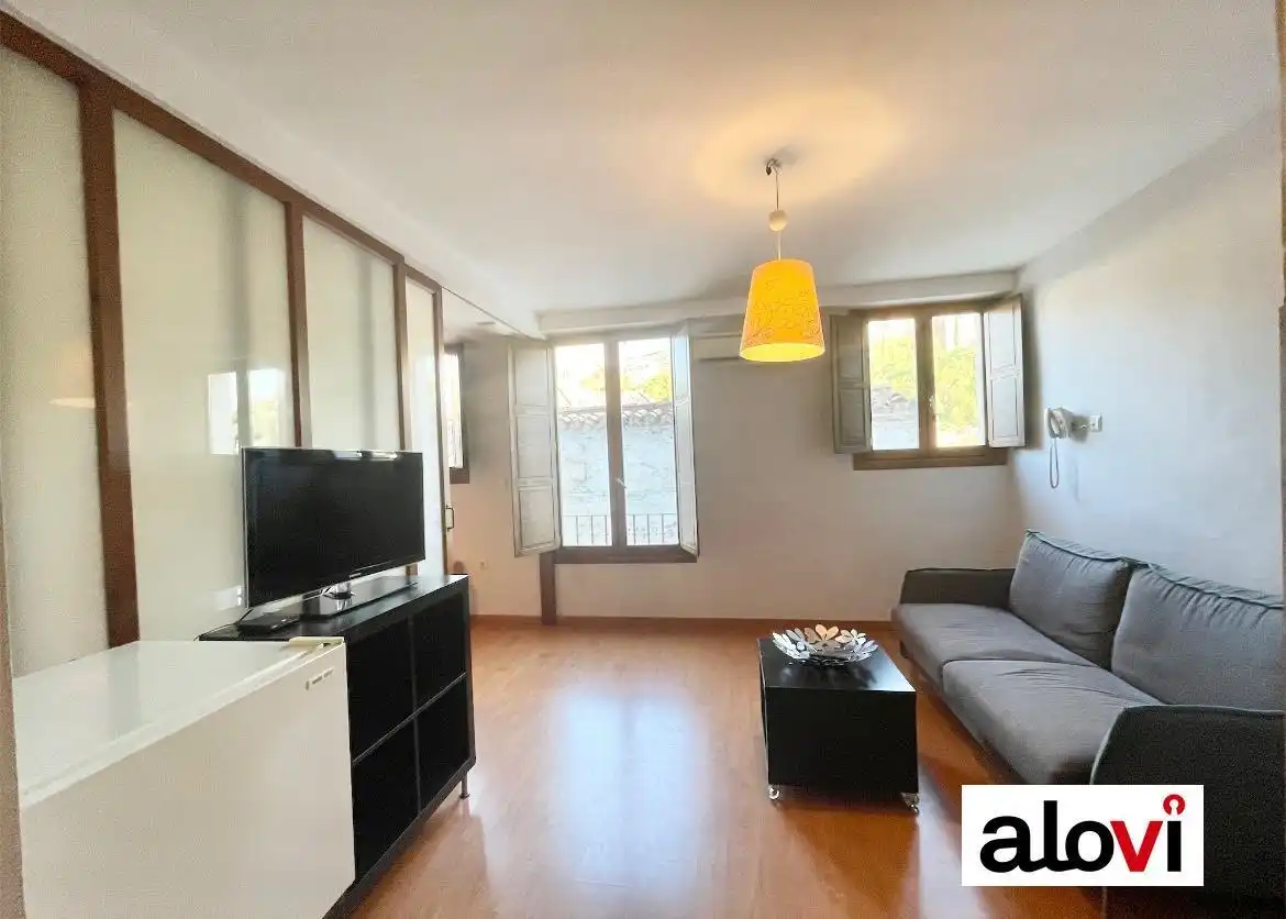 Living room of Apartments for rent in Granada  with Air Conditioner and Furnished