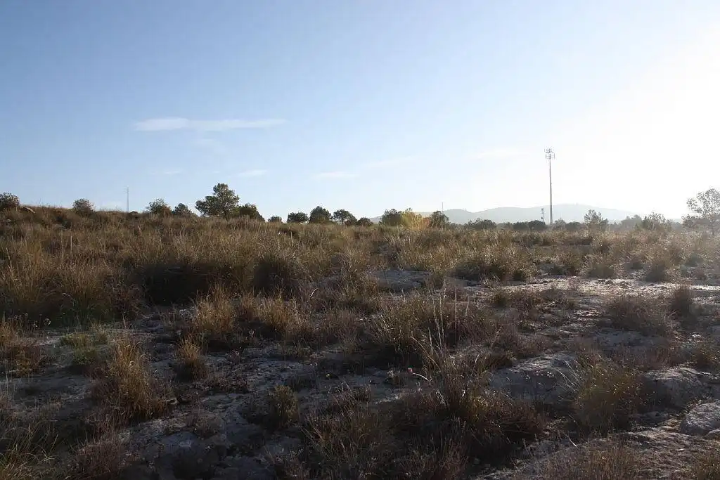Terreny rústic en venda a FUENTE PEÑA Parc. 536, imagen 7