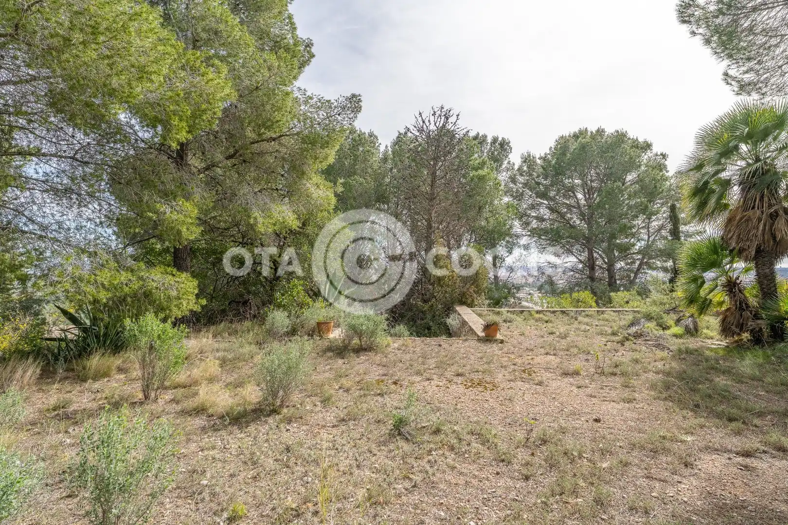 Terreny residencial en venda a Carrer dels Pugets, imagen 17