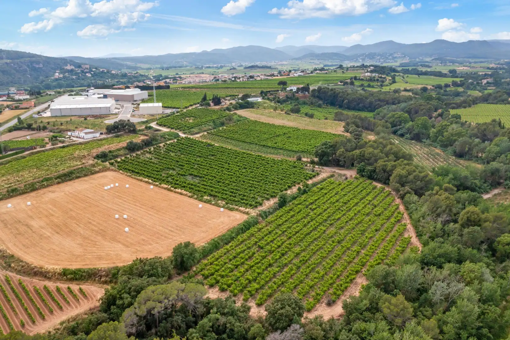 Casa rústica amb piscina en venda a Carrer de la Serra de Dalt 15, imagen 8