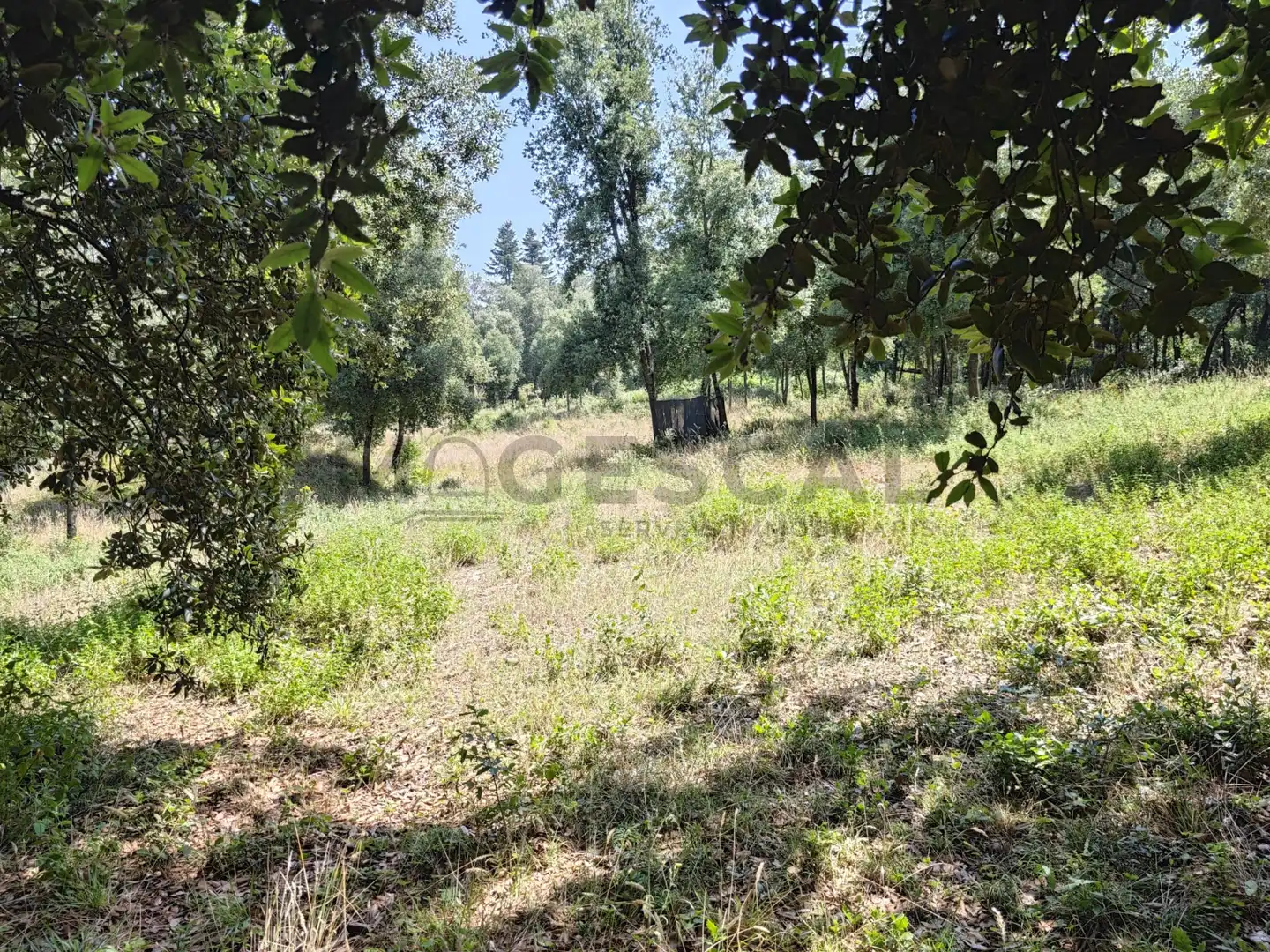 Terrenys i solars en venda a DE SALVADOR ESPRIU, imagen 4