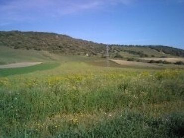 Wohnbaugrundstück zum Verkauf in Vejer