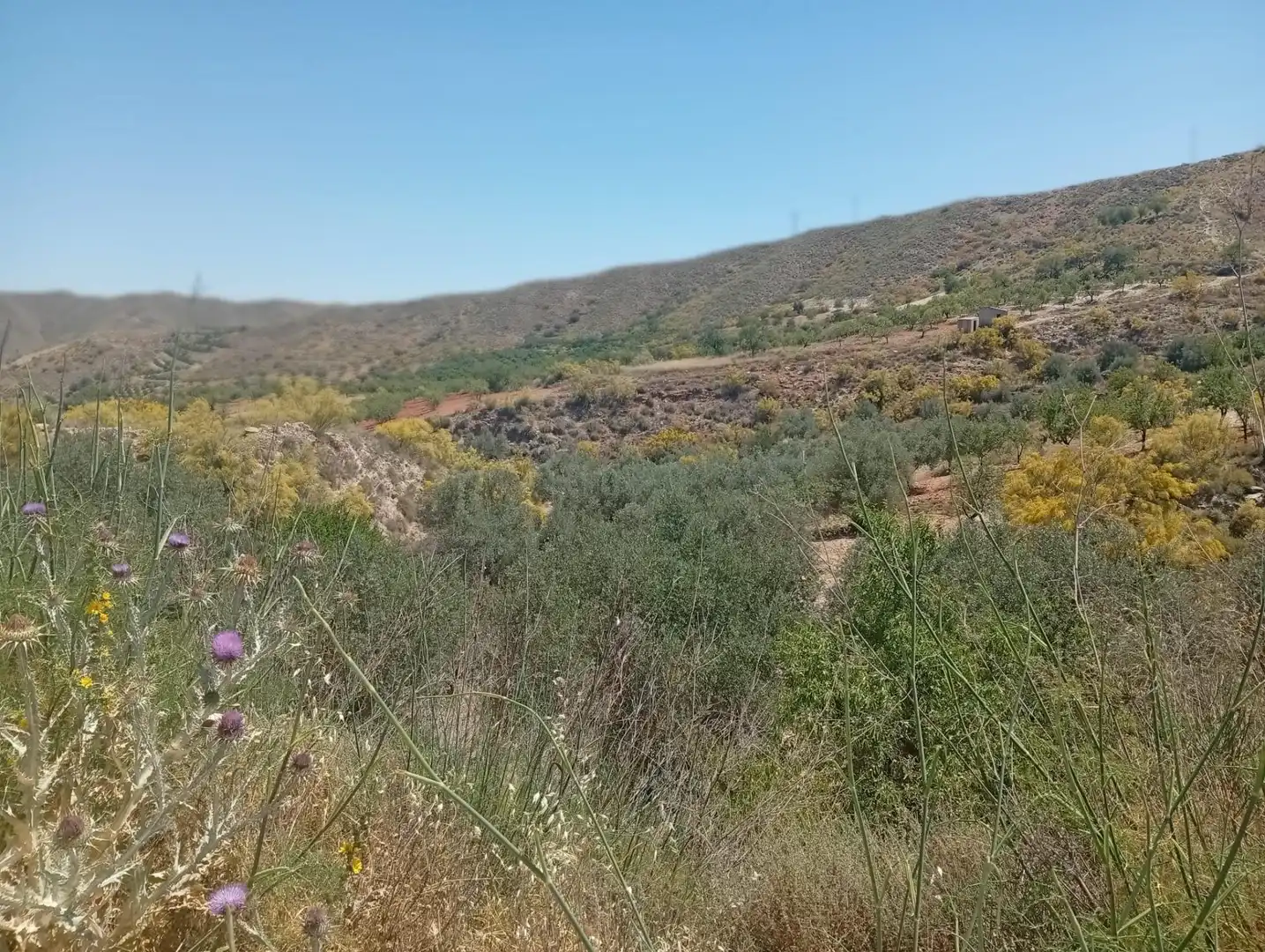 Rural land for sale in Lubrín, imagen 3