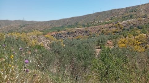 VENTA DE TERRENO RÚSTICO EN CANTORIA ALMERÍA, immagine 3