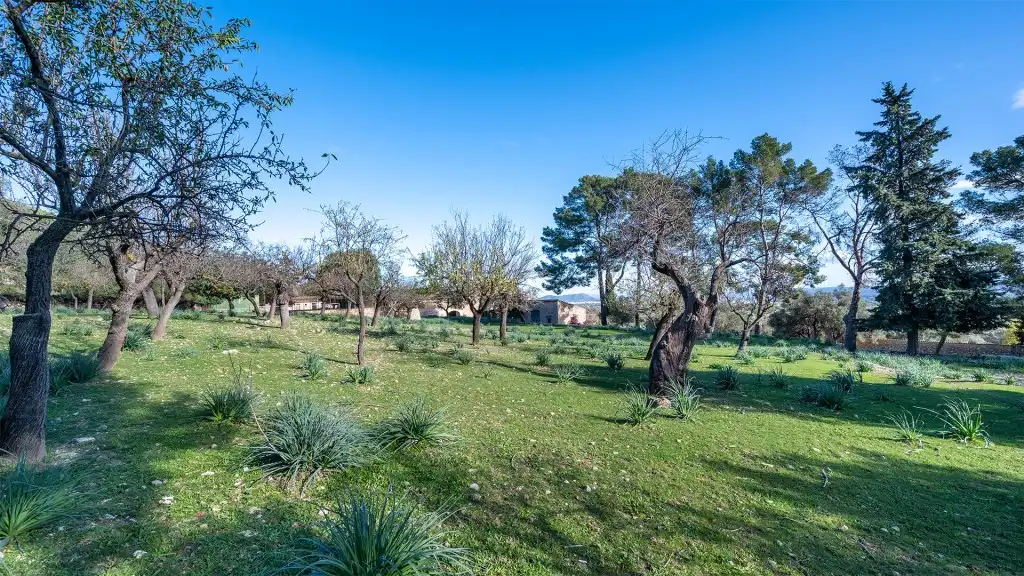 Casa rústica amb piscina en venda a Binissalem, imagen 27