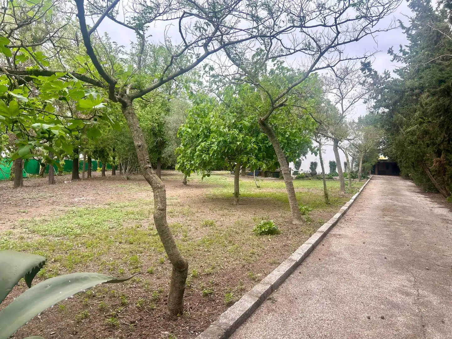Country homes for sale in Caballero Bonald - San José Obrero - Guadalcacín