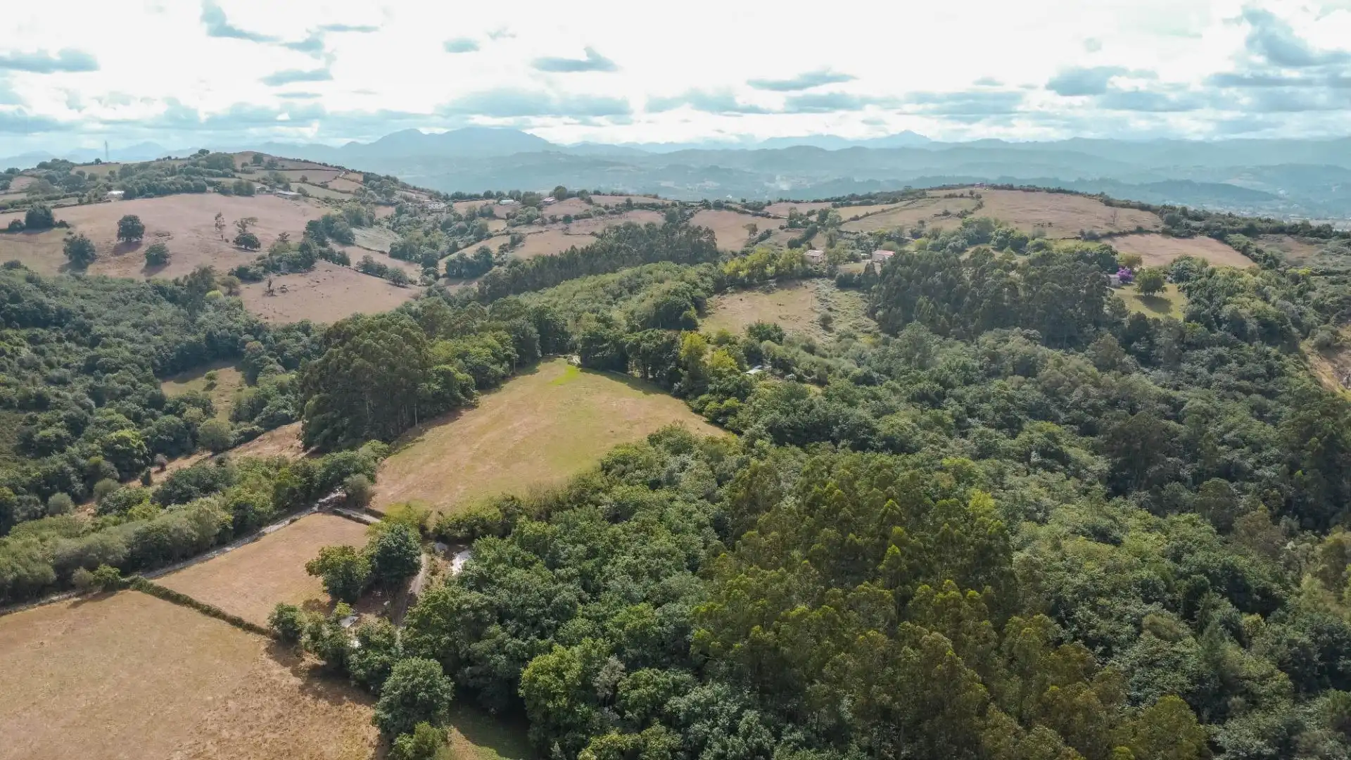 Houses for sale in Noreña  with Heating, Private garden and Terrace